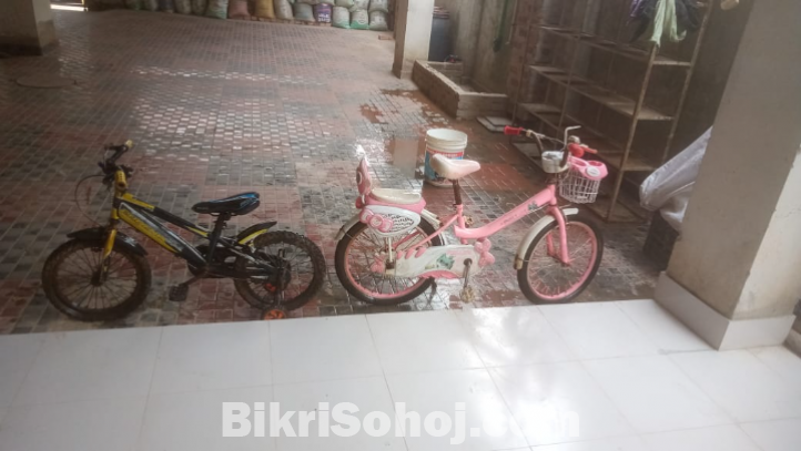 বআচ্চাদের দুটি সাইকেল